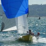 Scorpion Spinnaker