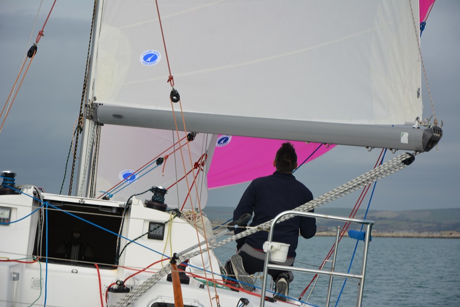 Pogo 8.50 sailing downwind
